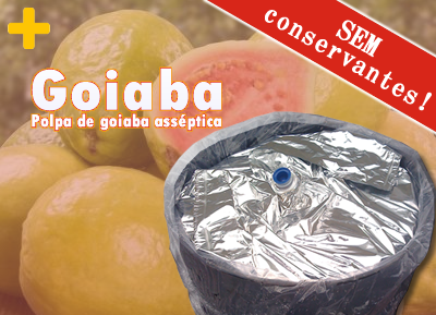 Polpa de Goiaba processado