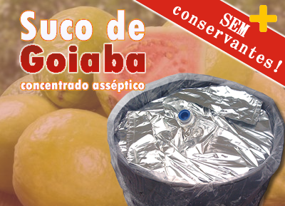 Polpa de Goiaba processado